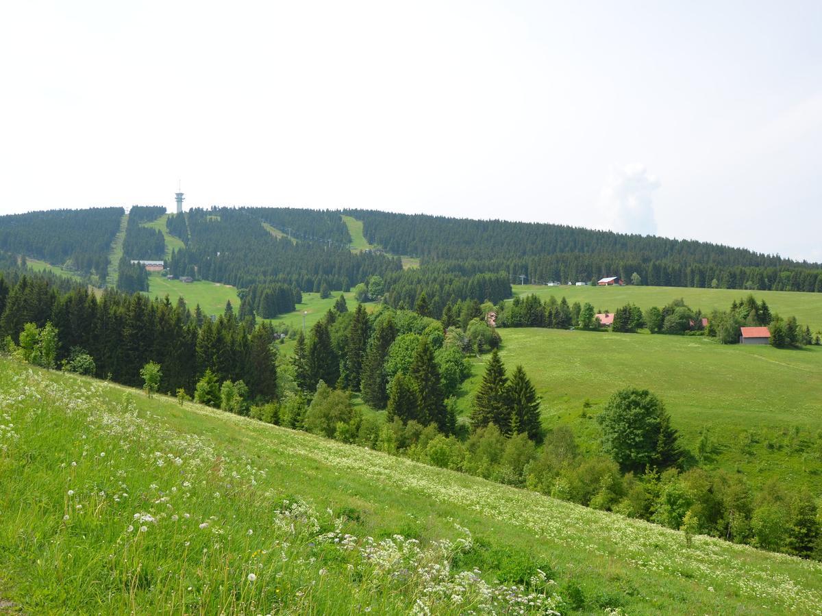 Nice Holiday Home In The Ore Mountains Only 500M From The Chairlift Loučná pod Klínovcem Kültér fotó